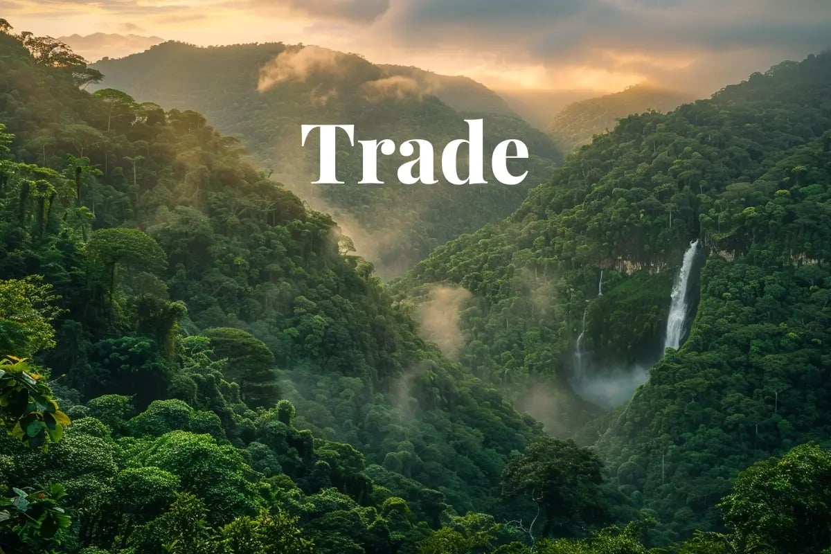 Argentina launches first carbon credit exchange with ACX technology ...